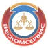 Весы от ведущих производителей России